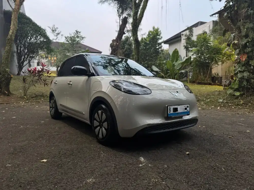 [410 KM] Binguo Premium Range