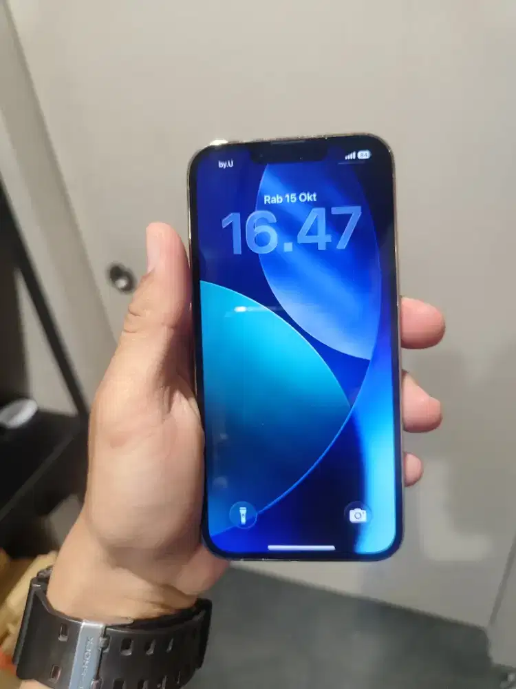 iPhone 13 Pro 256