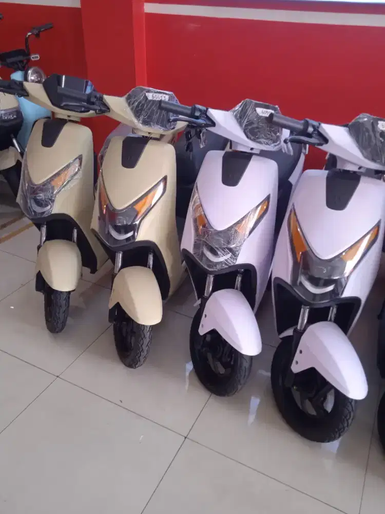 Sepeda Listrik U-winfly 2025 (D75)
