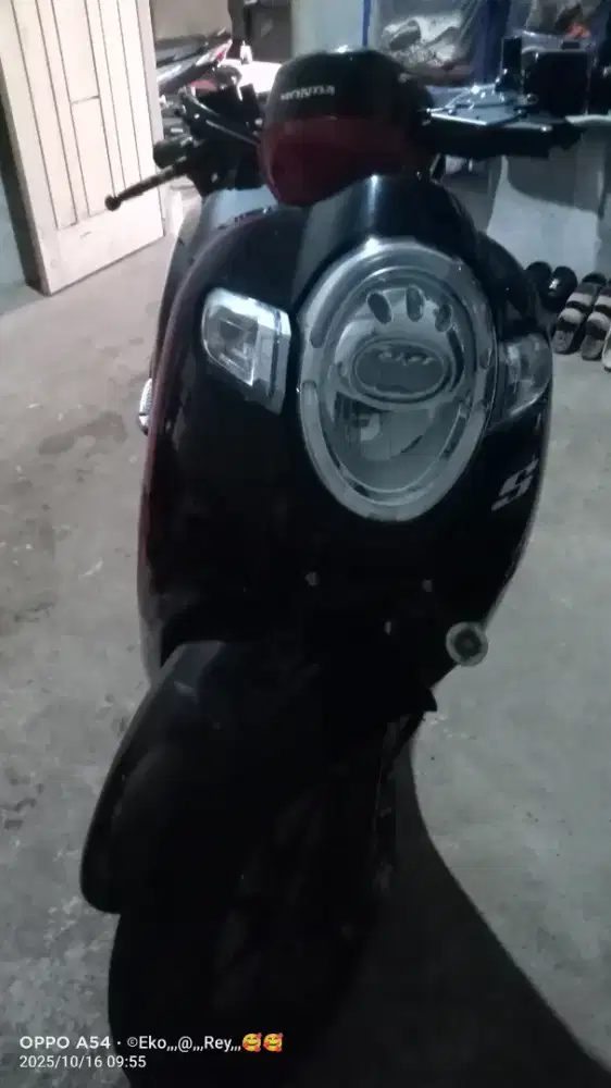 Jual cepat montor skupy