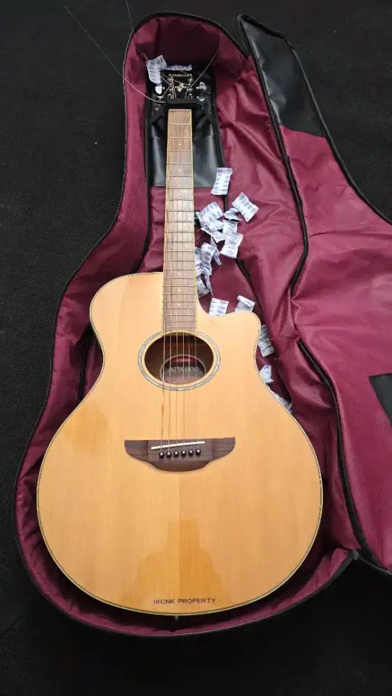 Yamaha APX 600 mulusss