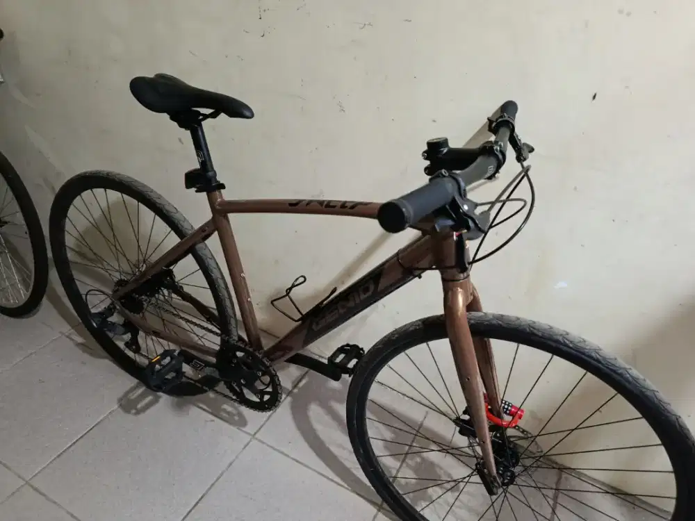 Sepeda Gravel Hybrid Genio Sweep R