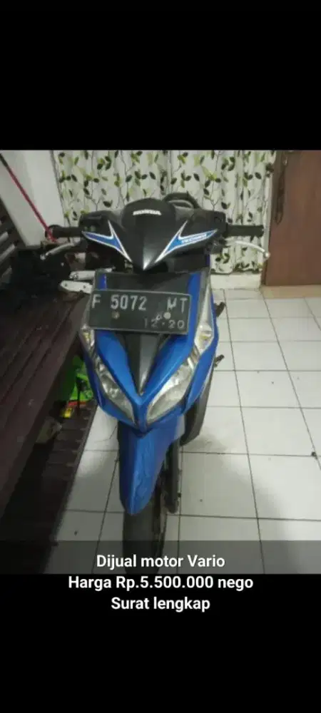 Vario Techno 2010