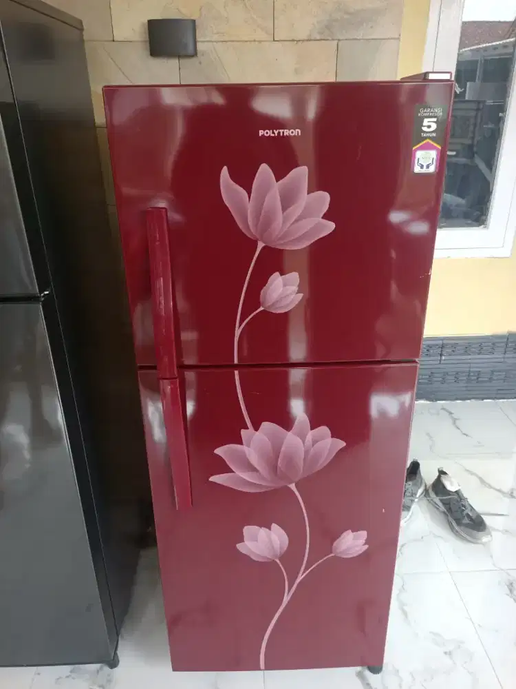 Kulkas Polytron kembang nego