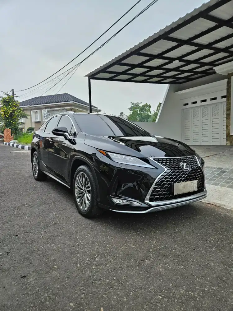 Lexus RX 300 luxury