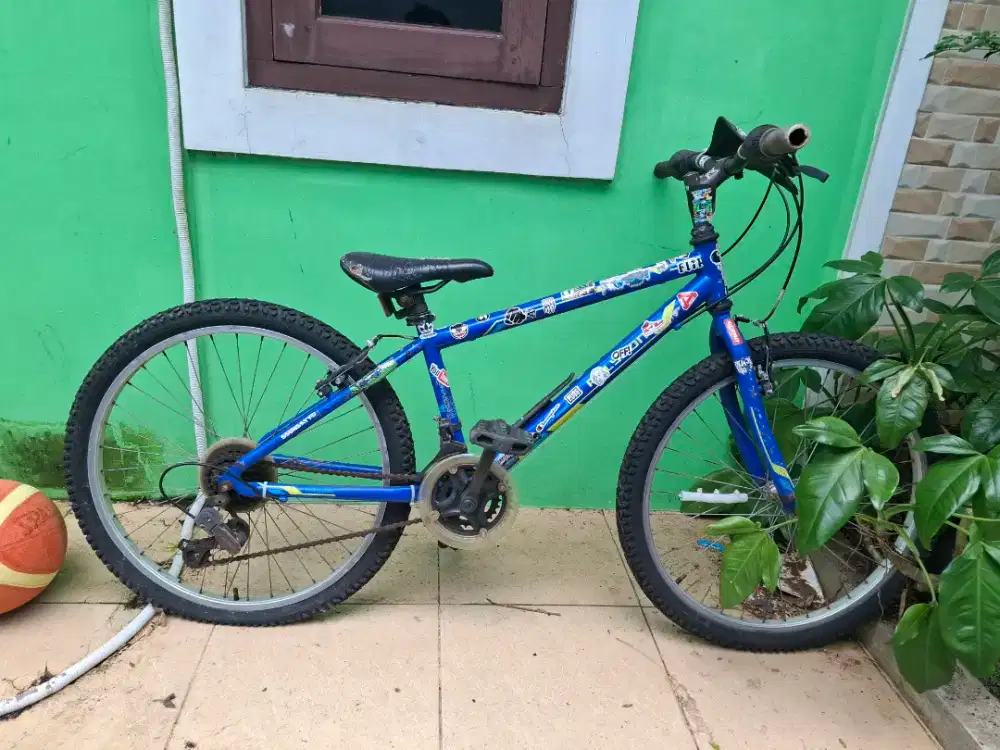 Sepeda polygon anak