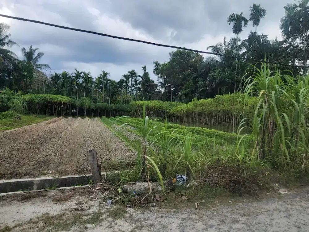 Di Jual Tanah Cepat