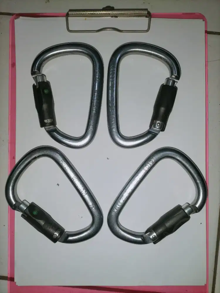 Carabiner Petzl William Balllock