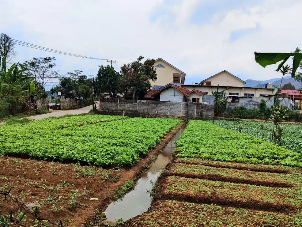 Di Jual Cepat Tanah Seluas 114 Tumbak Tanpa Perntara