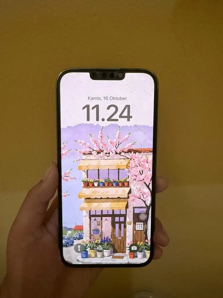 13 Pro Max 512gb