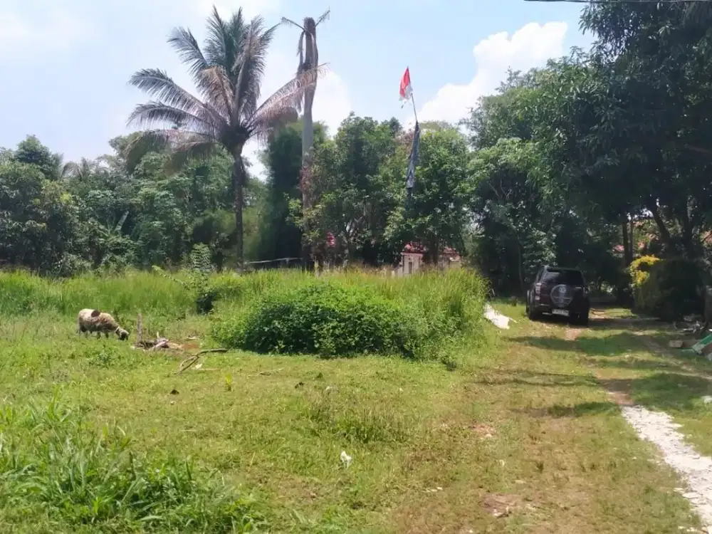Hanya 1 Jutaan Kavling SHM Tajur Halang, Bogor. Dekat Calon Pintu Tol Bojonggede