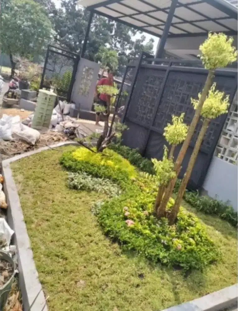 Tanaman hias mini malis