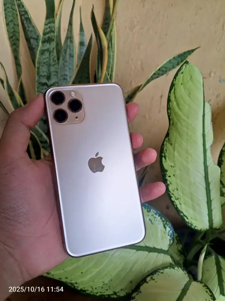iphone 11 pro 64gb x inter