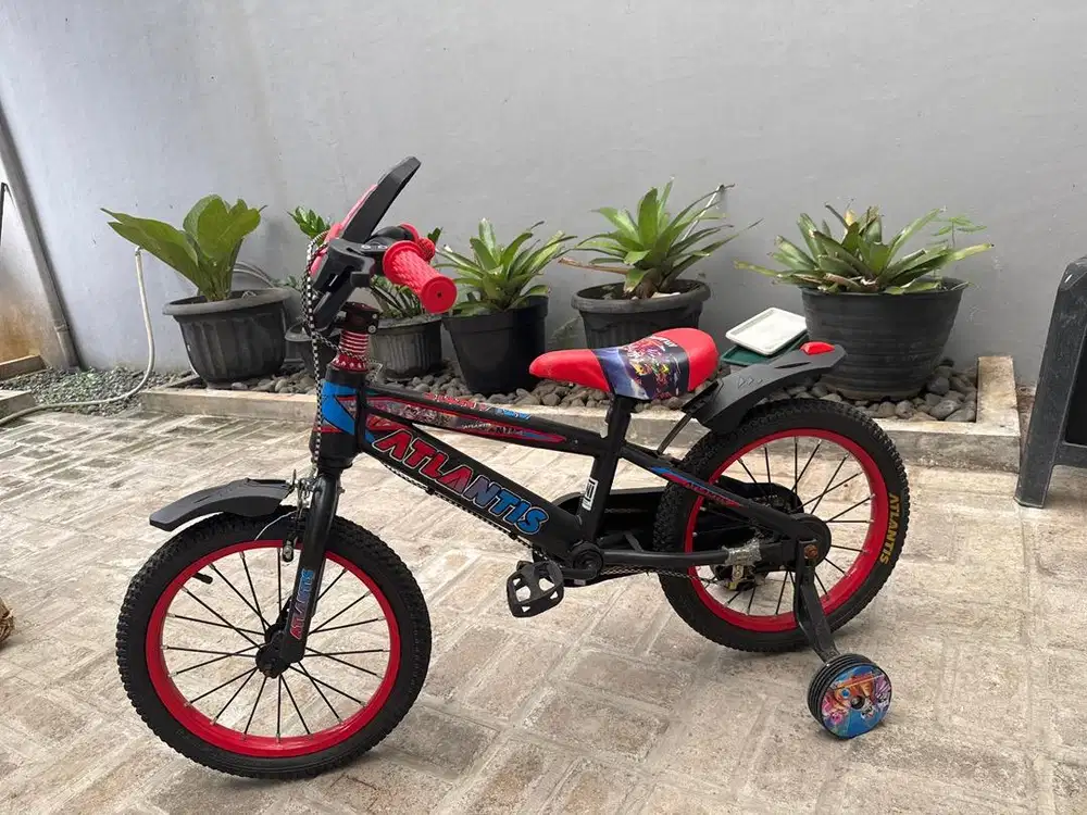 Tricycle for kid
