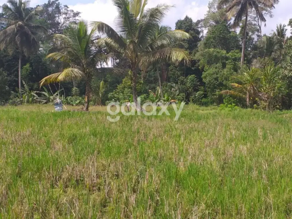 TANAH RAYA PEJENG TAMPAKSIRING GIANYAR, BALI