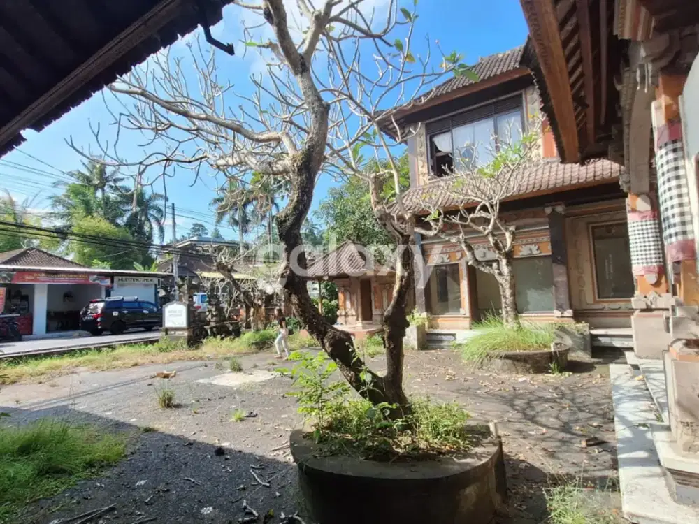 TANAH BONUS BANGUNAN RAYA NYUH KUNING UBUD GIANYAR, BALI