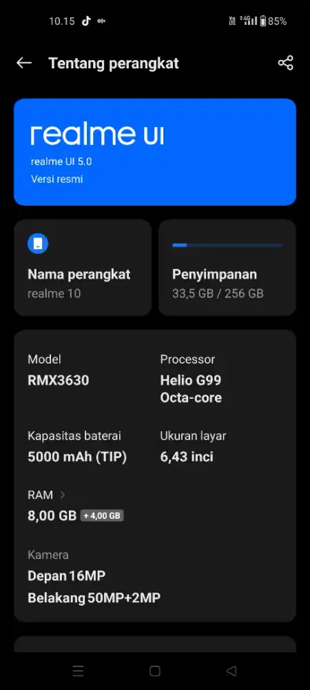 Hp realme 10 256/8