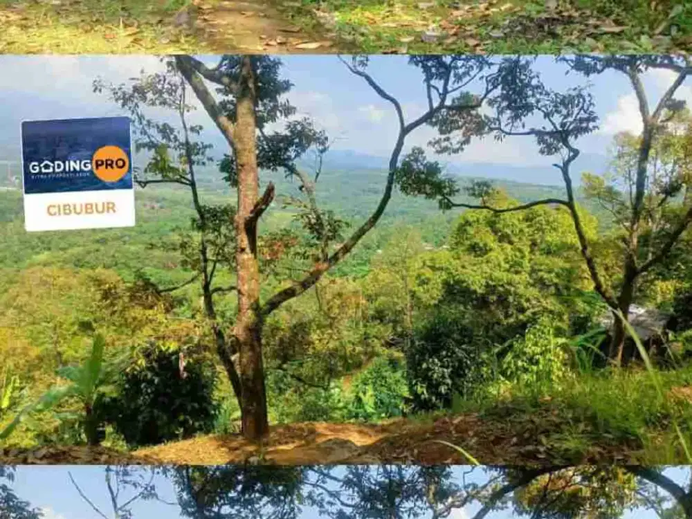 Di Jual kavling Luas tanah :36.000 m² di Leuwisadeng Bogor