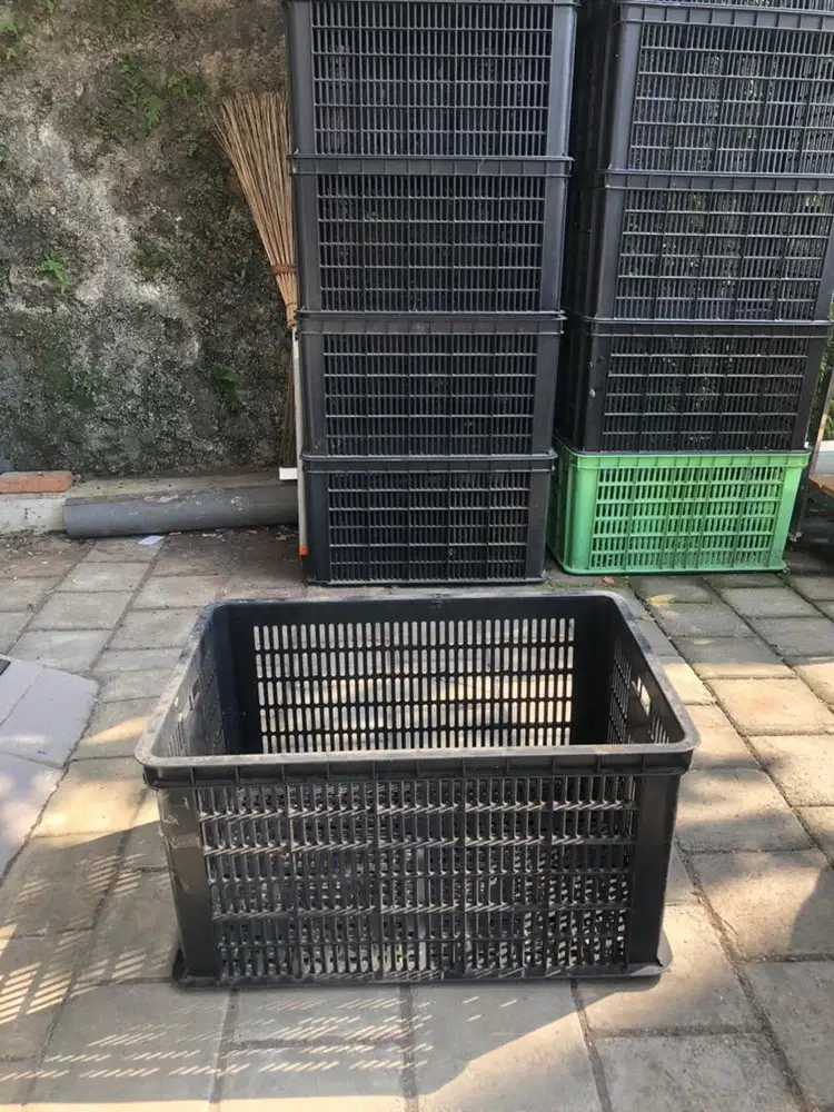 Keranjang plastik buah