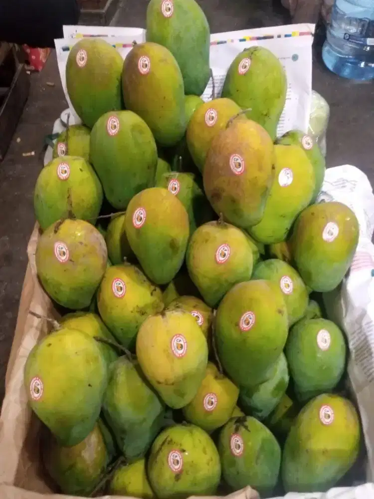 JAGA LAPAK BUAH