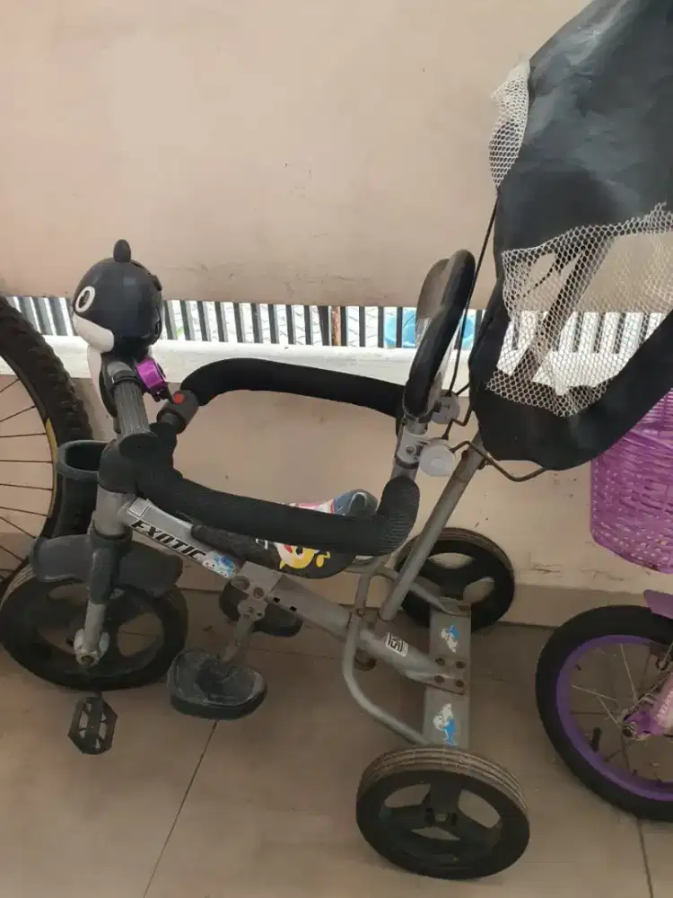 Sepeda Exotic Roda Tiga