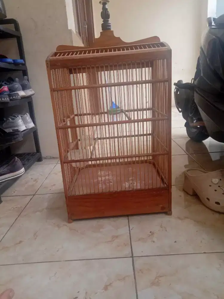 Kandang burung ukuran 2