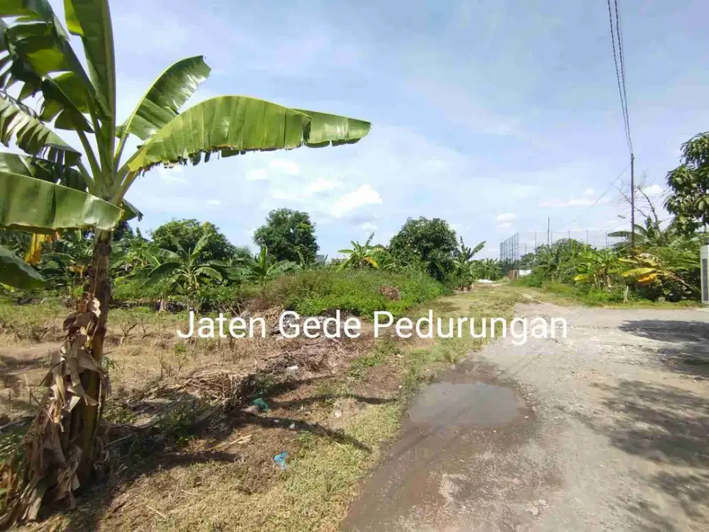 Tanah untuk Perumahan