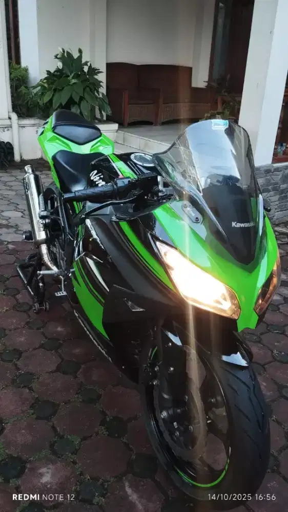 Ninja 250 mulus