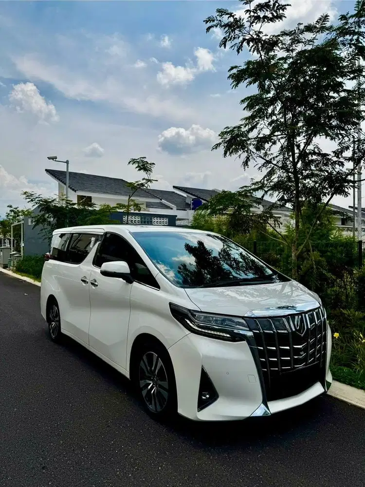 TOYOTA ALPHARD G Type