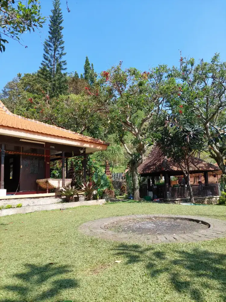 Pengasuh bayi 4 bulan