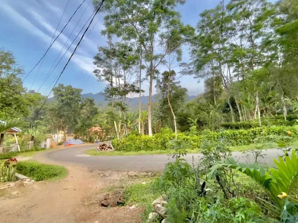 Tanah Pinggir Jalan Dekat Rumah Penduduk Udara Dingin Dijual Murah
