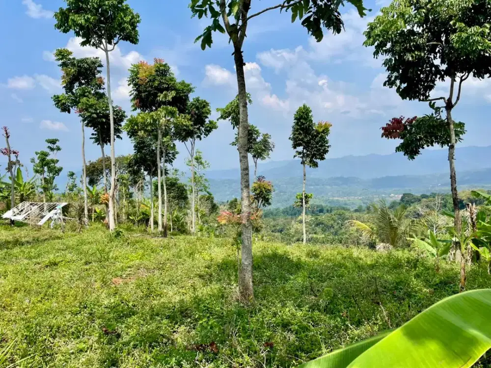 Tanah Pemandangan Bagus Udara Dingin di Sumedang Selatan Dijual Murah