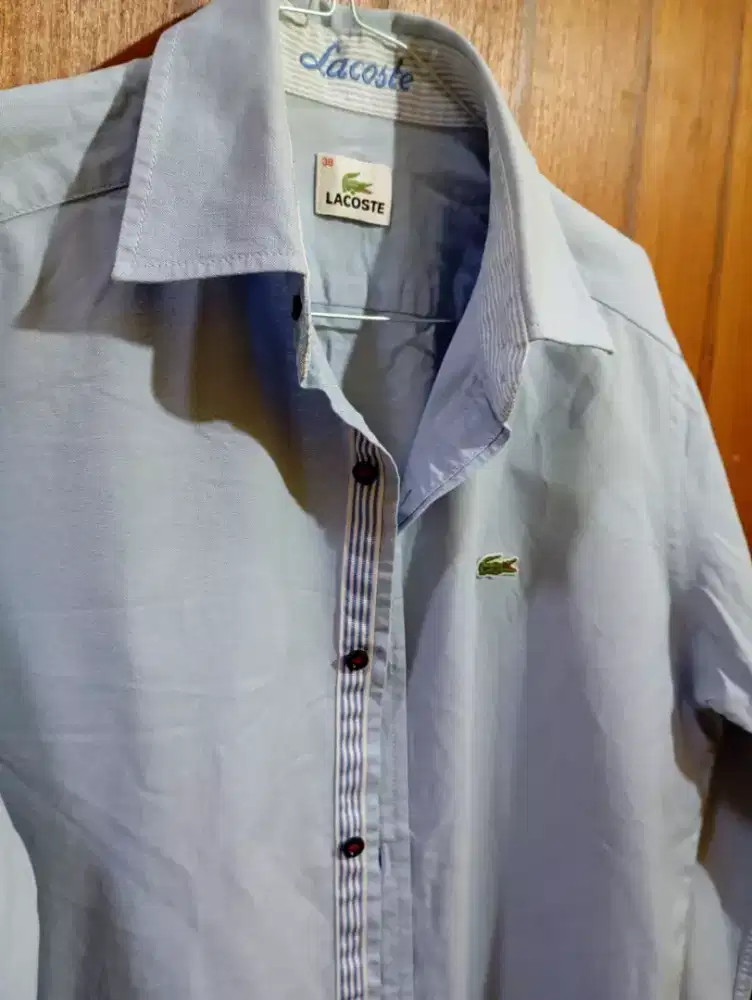 Kemeja Lacoste Original Lengan Panjang