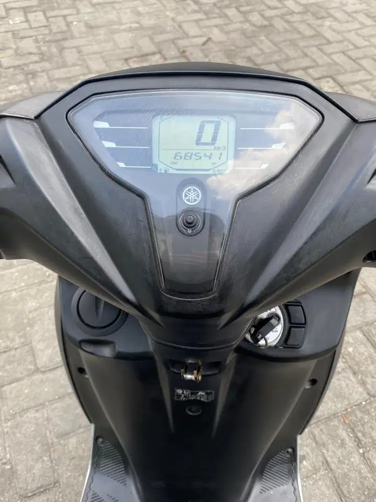 Yamaha FREEGO 2020