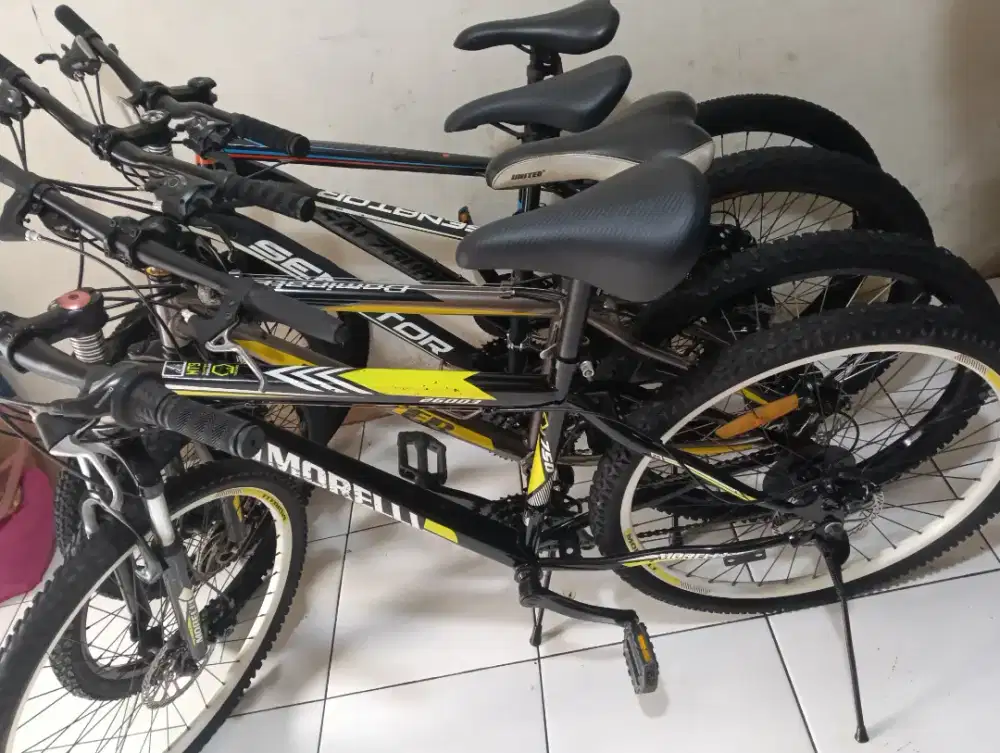 Sepeda MTB borongan
