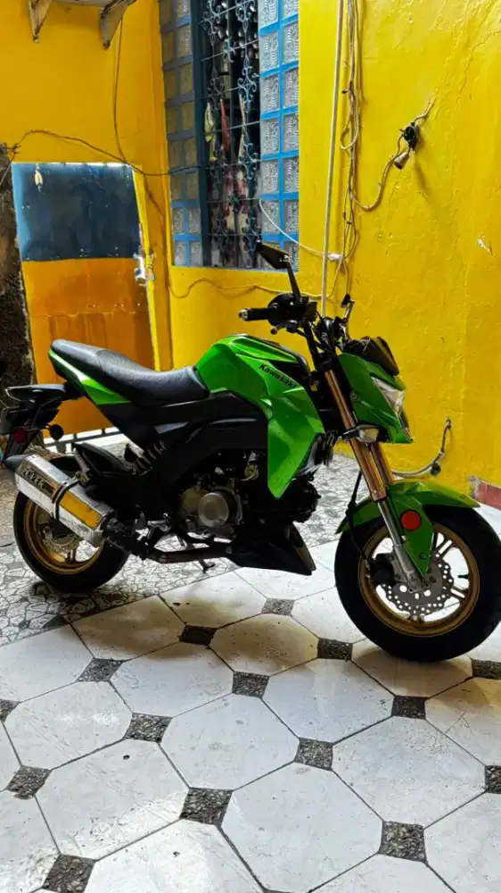Kawasaki z125 surat pakai zx130