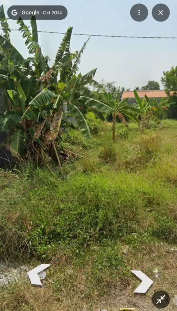 JUAL TANAH MURAH