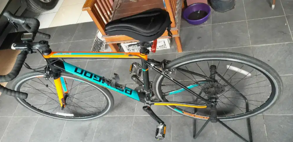 Polygon Stratos S2 2019