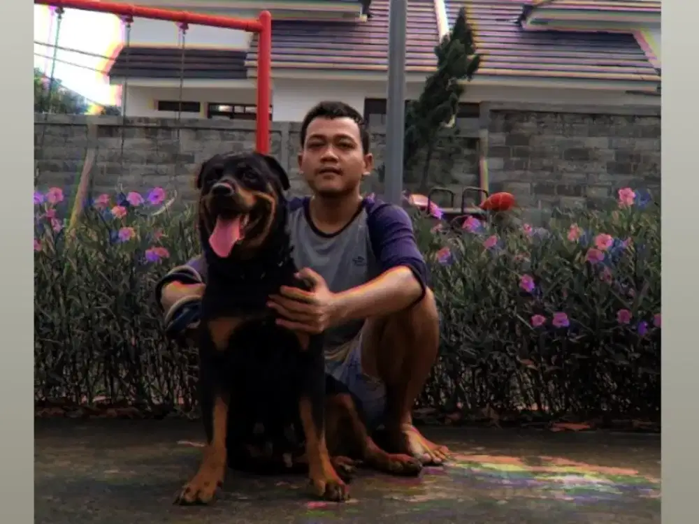 Cari pekerjaan Fulltime/Freelance