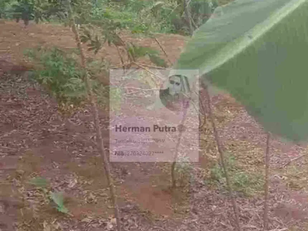 Tanah Tembalang Bulusan Undip
