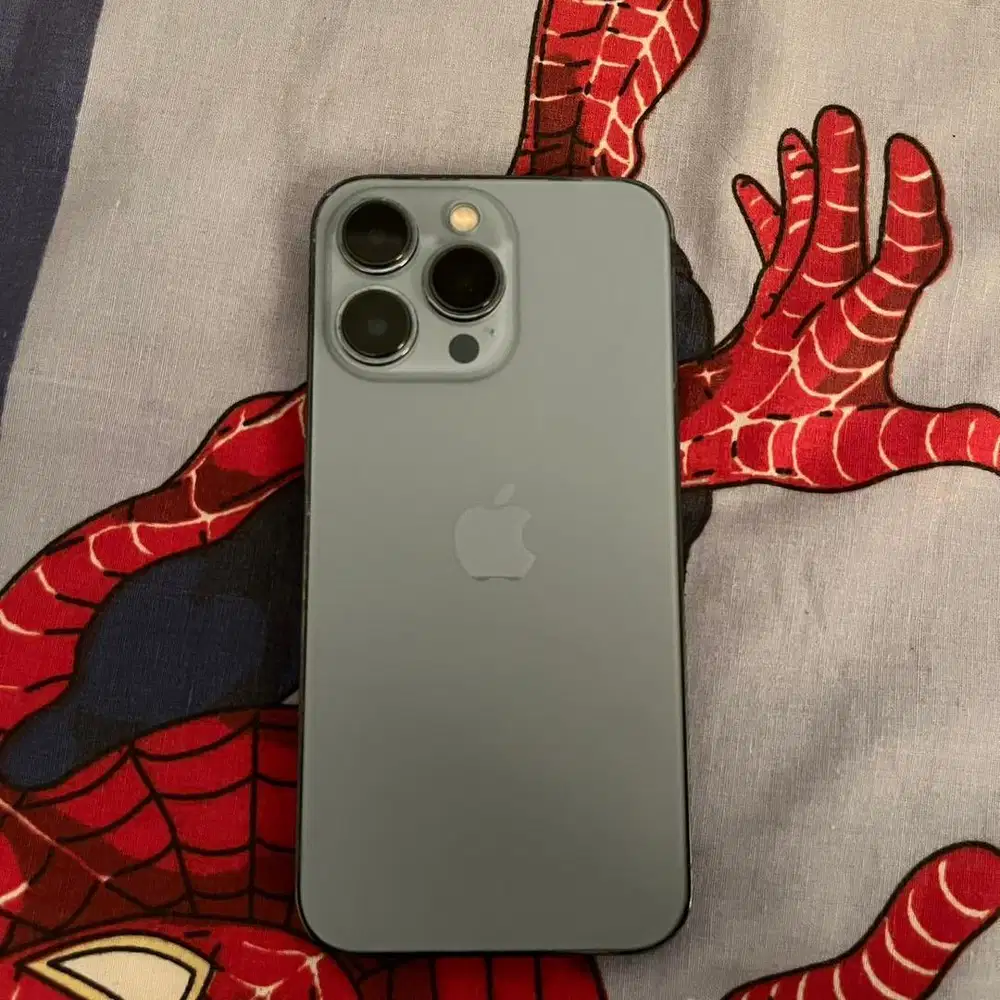 iPhone 13 Pro 256