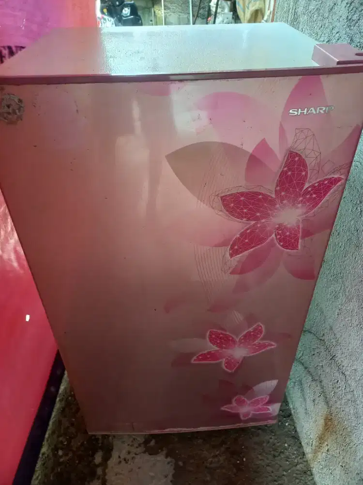 Kulkas 1 pintu normal