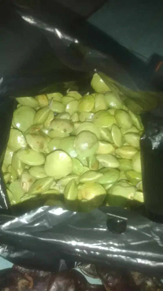 Nyari kerja apa aja yg penting dapet uang