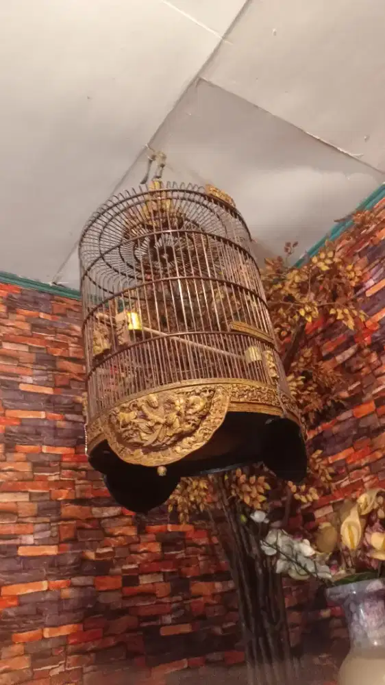 DIJUAL KANDANG BURUNG BEKAS ANIS KEMBANG