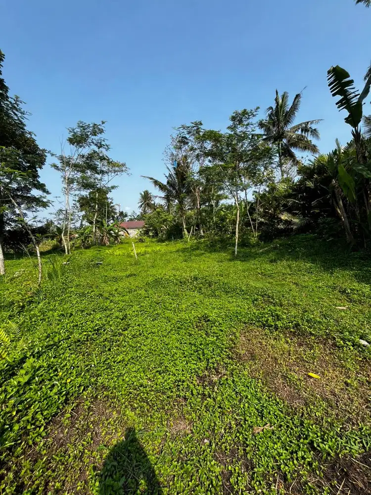 Hidden Gem Sleman! Tanah 1500m² di Kawasan Asri & Strategis