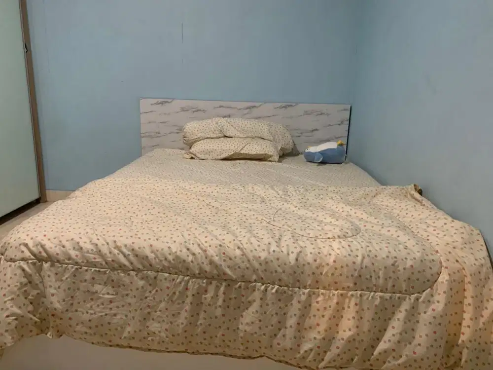 divan + kasur in the box 160x200