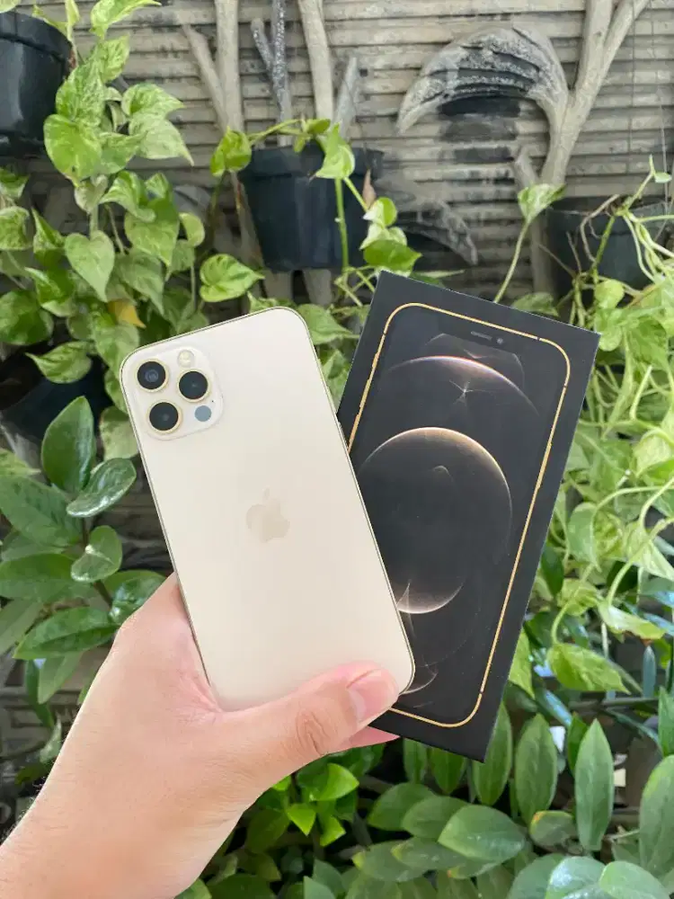 iPhone 12 Pro 256GB GOLD IMEI RESMI BEACUKAI (PERMANEN SETARA IBOX)