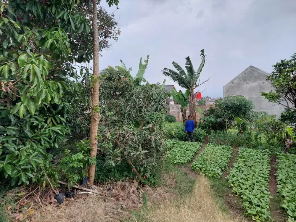 Tanah kavling zona kuning bisa di bangun permanen dengan view pegunungan di Ciawi Bandung