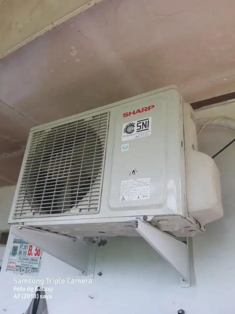Ac sharp 1/2 pk