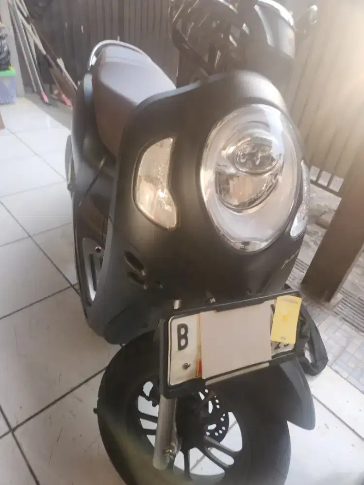 Scoopy 2024 bulan juni